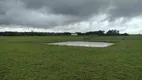 Foto 6 de Fazenda/Sítio com 5 Quartos à venda, 300m² em Zona Rural, Laranjal Paulista