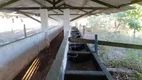 Foto 25 de Fazenda/Sítio com 2 Quartos à venda, 205000m² em Rural, Puxinanã
