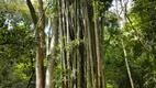 Foto 72 de Fazenda/Sítio com 8 Quartos à venda, 193600m² em Vargem do Salto, Ibiúna