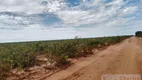 Foto 17 de Fazenda/Sítio com 2 Quartos para alugar, 2500m² em Centro, Cocos