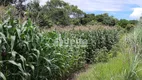 Foto 10 de Fazenda/Sítio com 4 Quartos à venda, 38000m² em Area Rural de Uberlandia, Uberlândia