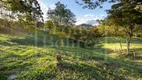 Foto 42 de Fazenda/Sítio com 5 Quartos à venda, 300000m² em Conselheiro Paulino, Nova Friburgo