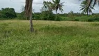 Foto 14 de Fazenda/Sítio à venda, 1500000m² em Guajiru, São Gonçalo do Amarante