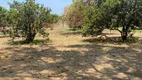 Foto 2 de Fazenda/Sítio com 3 Quartos à venda, 20000m² em Verde Lar, Teresina