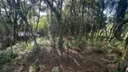 Foto 4 de Lote/Terreno à venda, 1200m² em Parque das Hortênsias, Canela
