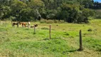 Foto 15 de Fazenda/Sítio com 2 Quartos à venda, 484000m² em Zona Rural, Piracaia