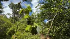 Foto 16 de Fazenda/Sítio com 3 Quartos à venda, 1000m² em Centro, Jaboticatubas