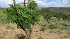 Foto 28 de Fazenda/Sítio com 1 Quarto à venda, 20000m² em Area Rural de Ceilandia, Brasília