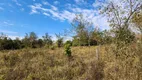 Foto 62 de Fazenda/Sítio com 3 Quartos à venda, 192000m² em Centro, Hidrolândia