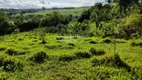 Foto 21 de Fazenda/Sítio com 3 Quartos à venda, 60000m² em Centro, Abadiânia