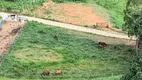 Foto 7 de Fazenda/Sítio à venda, 44622m² em Centro, São José do Alegre