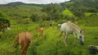 Foto 20 de Fazenda/Sítio com 1 Quarto à venda, 80000m² em Zona Rural, Rio Manso