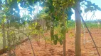 Foto 20 de Fazenda/Sítio à venda, 720m² em Zona Rural, Bom Despacho