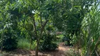 Foto 36 de Fazenda/Sítio com 5 Quartos para venda ou aluguel, 5000m² em Jardim Roseira de Cima, Jaguariúna