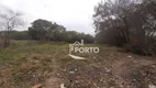 Foto 6 de Lote/Terreno à venda, 24000m² em Vila Sônia, Piracicaba