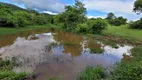 Foto 27 de Fazenda/Sítio com 3 Quartos à venda, 3630000m² em Centro, Guapó