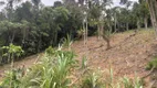 Foto 23 de Fazenda/Sítio com 1 Quarto à venda, 12000m² em , Domingos Martins