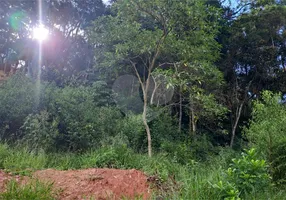 Foto 1 de Lote/Terreno à venda, 4200m² em Terra Preta Terra Preta, Mairiporã