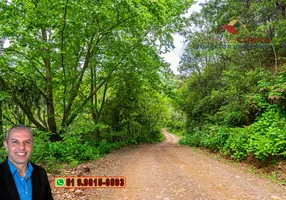 Foto 1 de Lote/Terreno à venda, 10000m² em Zona Rural, São Francisco de Paula