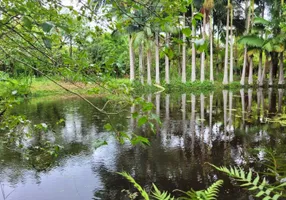 Foto 1 de Fazenda/Sítio com 3 Quartos à venda, 250m² em Zona Rural, Balneário Barra do Sul