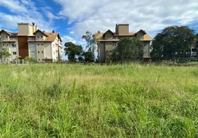 Foto 1 de Lote/Terreno à venda, 483m² em Carazal, Gramado