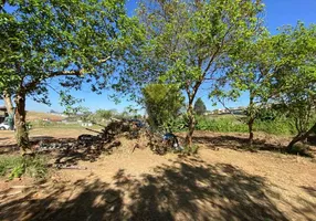 Foto 1 de Lote/Terreno à venda, 5000m² em Vila Nova Aparecida, Mogi das Cruzes