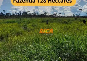 Foto 1 de Fazenda/Sítio à venda, 1280000m² em , Humaitá