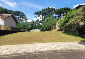 Foto 1 de Lote/Terreno à venda, 1000m² em Butiatuvinha, Curitiba