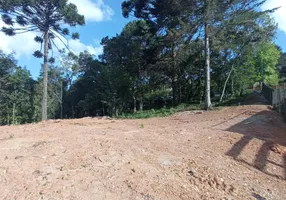 Foto 1 de Lote/Terreno à venda, 1000m² em Jardim do Embaixador, Campos do Jordão