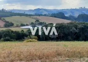 Foto 1 de Lote/Terreno à venda, 20000m² em , Bueno Brandão