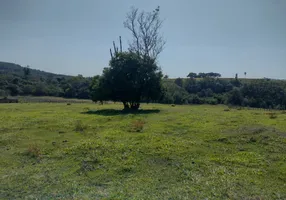 Foto 1 de Fazenda/Sítio à venda, 145200m² em Rural, Porangaba