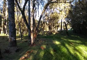 Foto 1 de Fazenda/Sítio à venda, 145000m² em Centro, Campo do Tenente