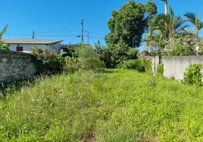 Foto 1 de Lote/Terreno à venda, 393m² em Capoeiras, Florianópolis