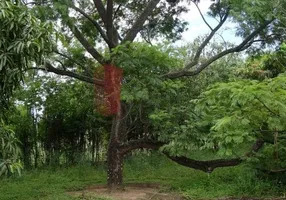 Foto 1 de Fazenda/Sítio com 3 Quartos à venda, 3000m² em , Sarapuí