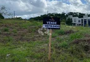 Foto 1 de Lote/Terreno à venda, 390m² em Tifa Martins, Jaraguá do Sul