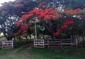 Foto 1 de Fazenda/Sítio à venda, 484000m² em Setor Central, Mossâmedes