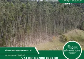 Foto 1 de Fazenda/Sítio à venda, 42000m² em Alto Benedito Novo, Benedito Novo