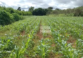 Foto 1 de Fazenda/Sítio com 2 Quartos à venda, 40000m² em Setor Residencial Mestre D Armas, Brasília