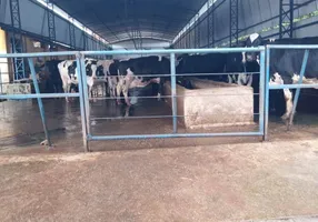 Foto 1 de Fazenda/Sítio com 3 Quartos à venda, 800m² em Centro, Pouso Alegre