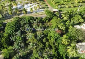 Foto 1 de Lote/Terreno à venda, 5000m² em Busca-Vida, Camaçari