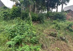 Foto 1 de Lote/Terreno à venda em Itoupava Norte, Blumenau