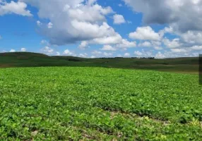 Foto 1 de Fazenda/Sítio à venda, 45000m² em Centro, São Francisco de Paula