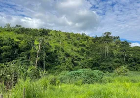 Foto 1 de Fazenda/Sítio com 1 Quarto à venda, 200m² em Centro, Colatina