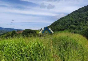 Foto 1 de Fazenda/Sítio à venda, 3630000m² em , Prudentópolis