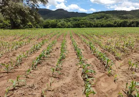 Foto 1 de Fazenda/Sítio com 4 Quartos à venda, 1282600m² em Zona Rural, Rio Quente