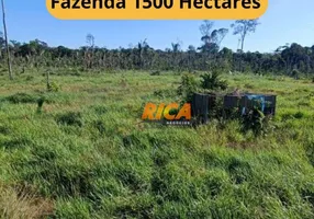 Foto 1 de Fazenda/Sítio à venda, 15000000m² em Centro, Humaitá