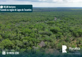 Foto 1 de Fazenda/Sítio à venda, 193m² em Zona Rural, Lagoa do Tocantins