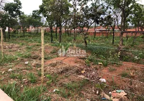 Foto 1 de Lote/Terreno à venda, 368m² em Shopping Park, Uberlândia