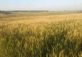 Foto 1 de Fazenda/Sítio com 2 Quartos para alugar em Vila Entroncamento, Campo Grande