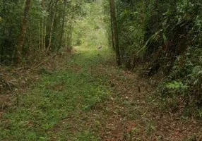 Foto 1 de Fazenda/Sítio à venda, 10700m² em , Juquitiba